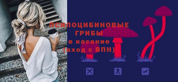 тгк Белокуриха