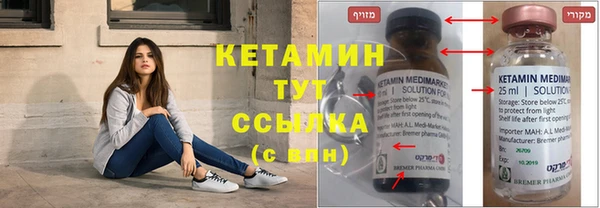 спиды Богородицк