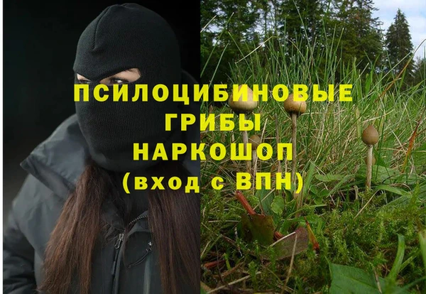 крисы Богданович