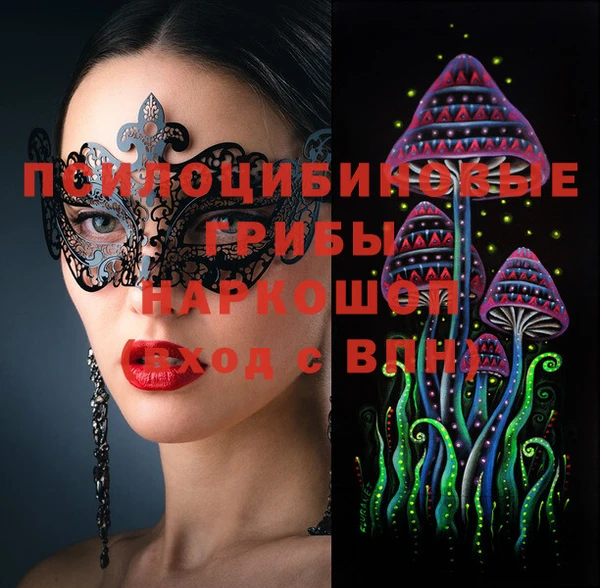 тгк Белокуриха