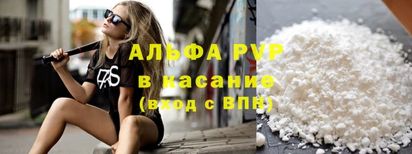 спиды Богородицк