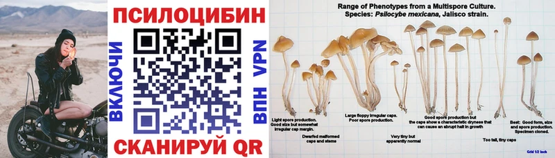 Галлюциногенные грибы ЛСД  купить наркоту  shop официальный сайт  Бологое 
